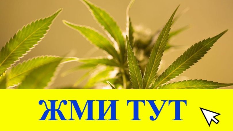 Купить наркотики в Талице