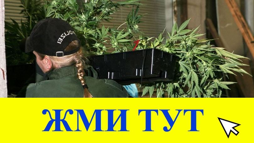 Купить наркотики в Талице